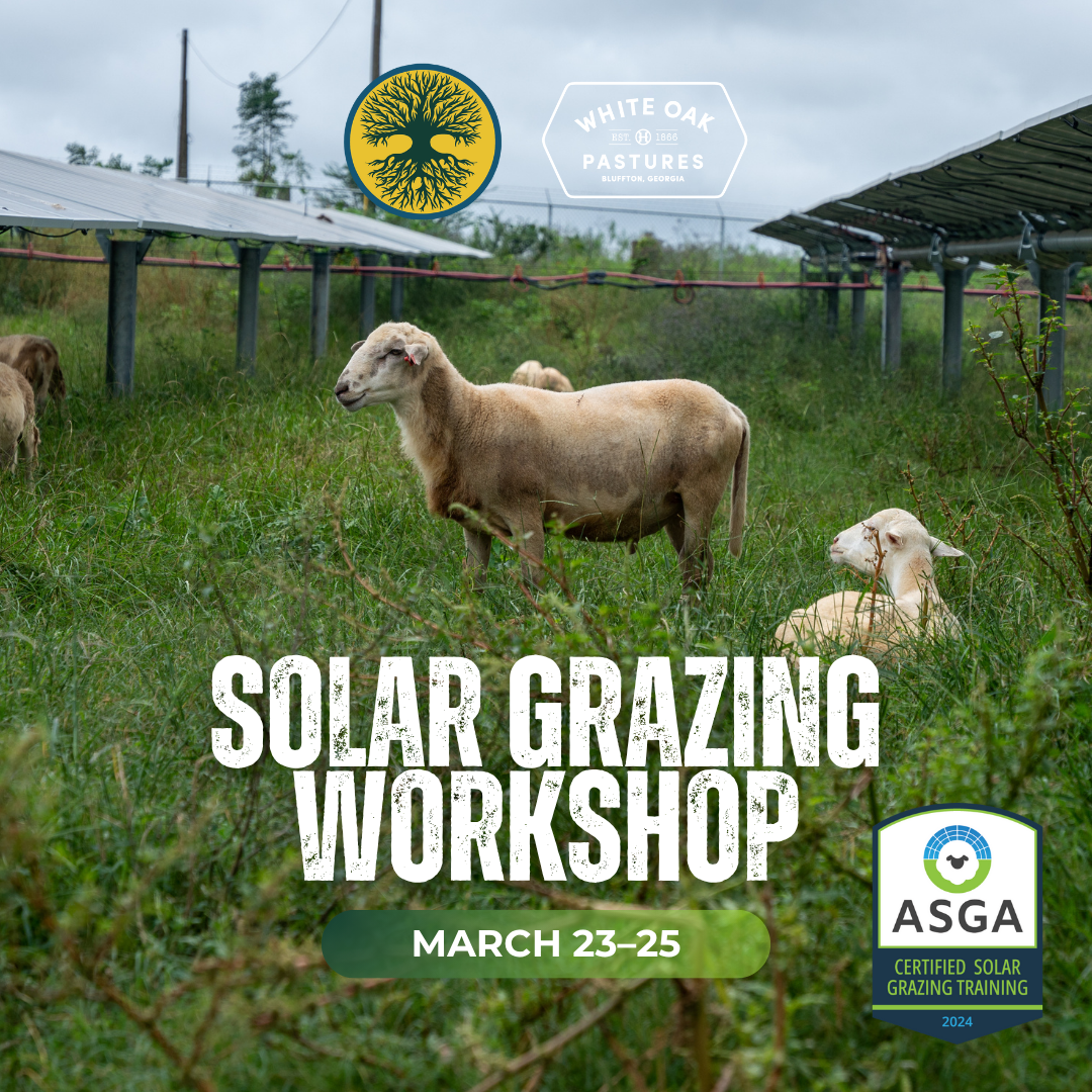 Solar Grazing: Principles, Practices, and Partnerships (March 23–25, 2026)