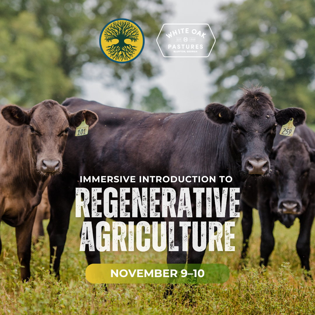 Immersive Introduction to Regenerative Agriculture: November 9–10, 2026
