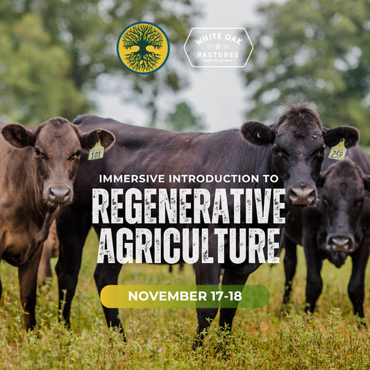 Immersive Introduction to Regenerative Agriculture (November 17-18)