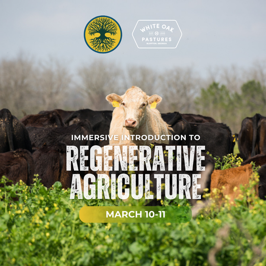 Immersive Introduction to Regenerative Agriculture: March 10-11, 2025