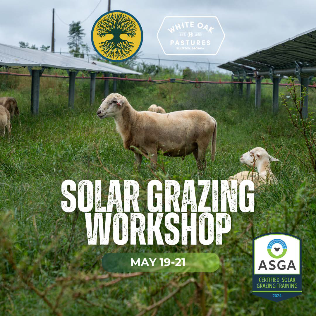 CFAR Solar Grazing Workshop: May 2025