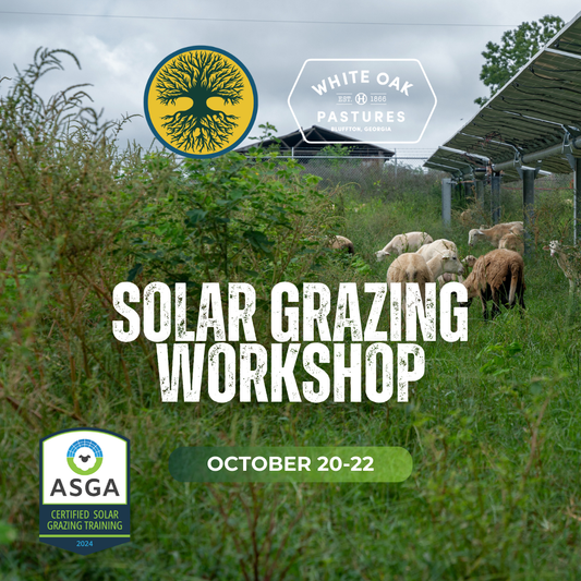 CFAR Solar Grazing Workshop: October 2025