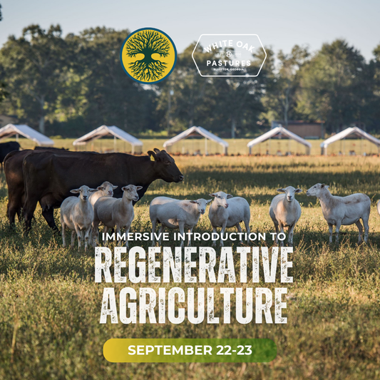 Immersive Introduction to Regenerative Agriculture: September 22-23, 2025