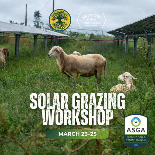 Solar Grazing: Principles, Practices, and Partnerships (March 23–25, 2026)
