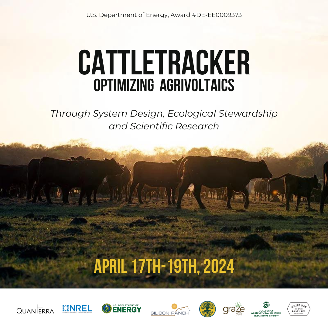 Cattle Tracker Project - Day 1 & 2