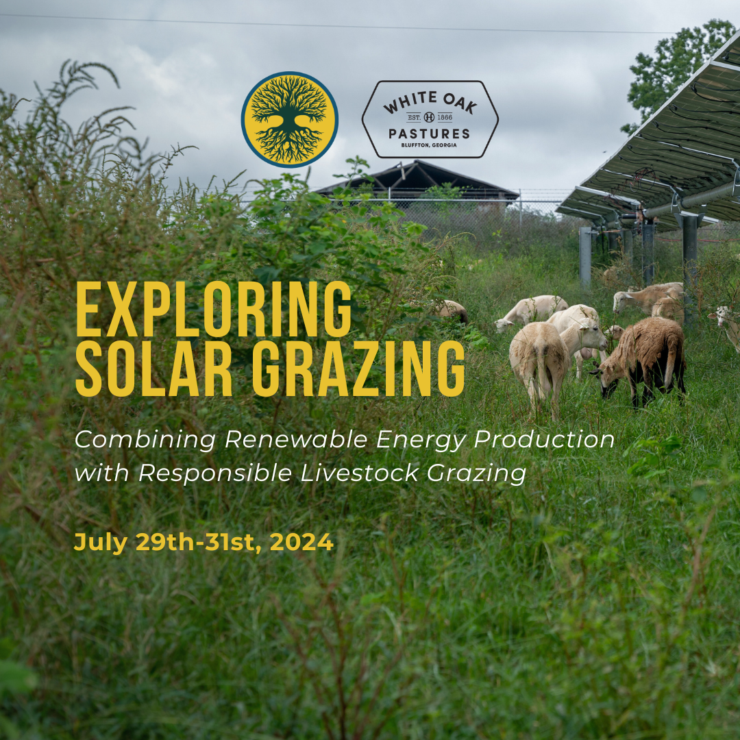 CFAR Solar Grazing Workshop: July 2024