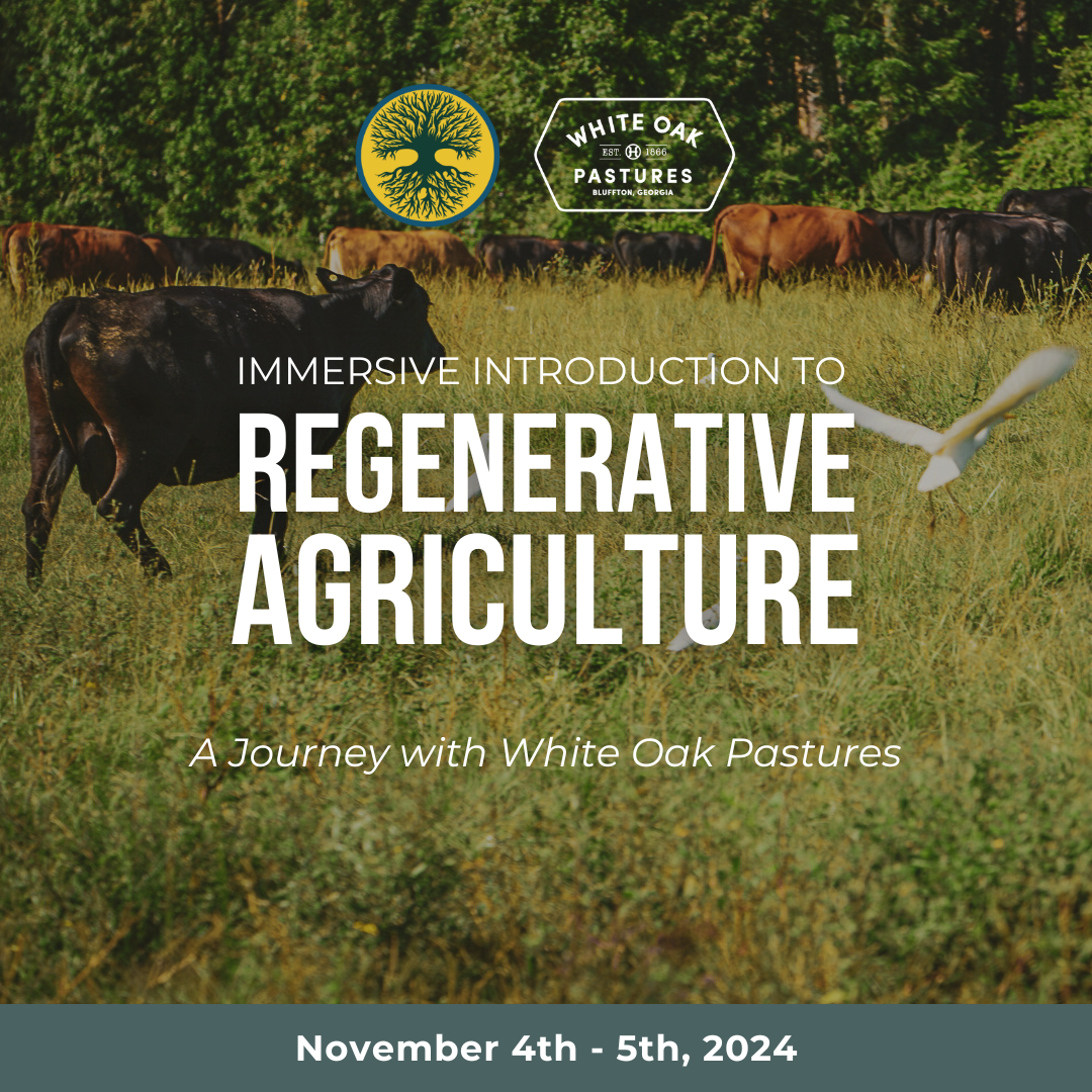 Immersive Introduction to Regenerative Agriculture - Fall Workshop