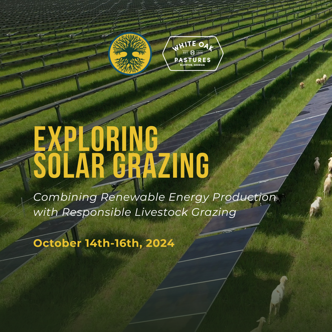 CFAR Solar Grazing Workshop: October 2024